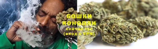 МДПВ Бородино
