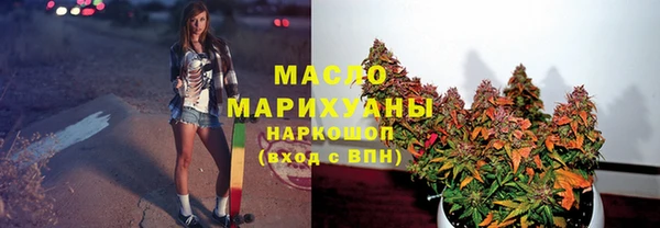 МДПВ Бородино