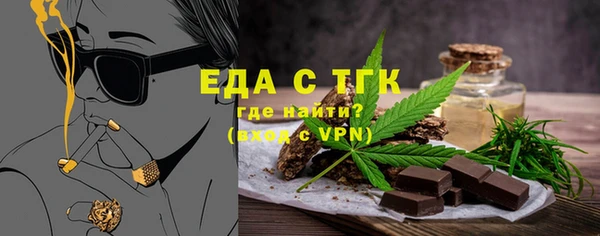 МДПВ Бородино