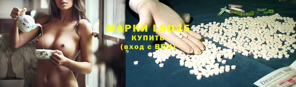 spice Богородицк