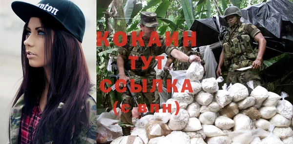 МДПВ Бородино