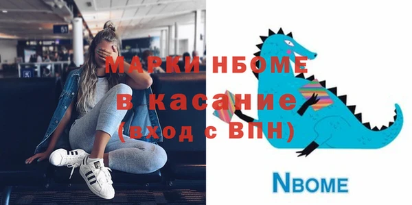 МДПВ Бородино