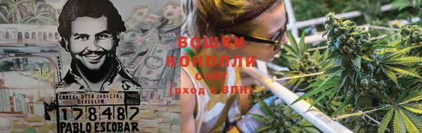 МДПВ Бородино