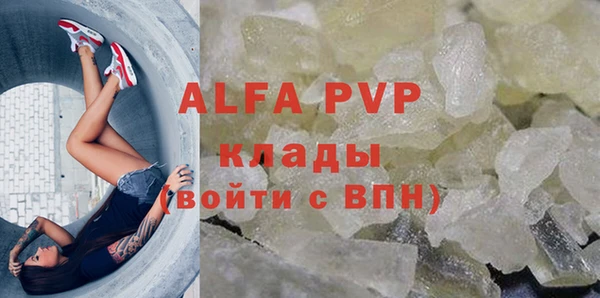 МДПВ Бородино