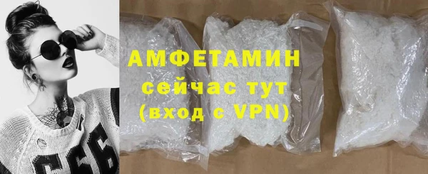 МДПВ Бородино