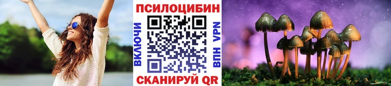 дарнет шоп  Котельники  Галлюциногенные грибы Psilocybine cubensis 