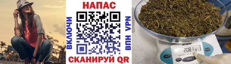 Бошки марихуана ГИДРОПОН  Котельники 